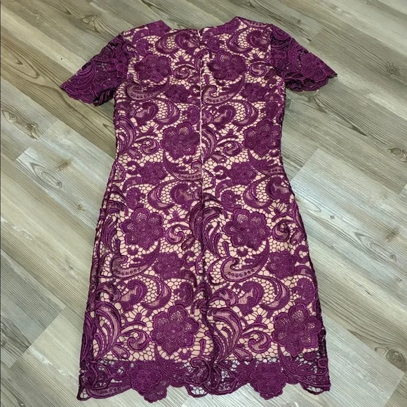 Dress The Population Anna mulberry & nude lace dress size S Cocktail Evening - Picture 6 of 9